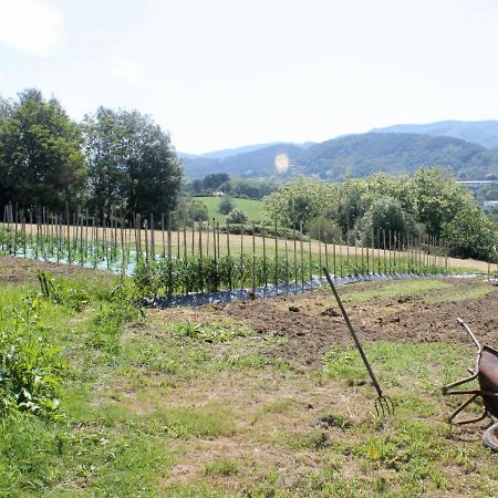 Caserio En Zona Rural Istilla Hondarribia Buitenkant foto